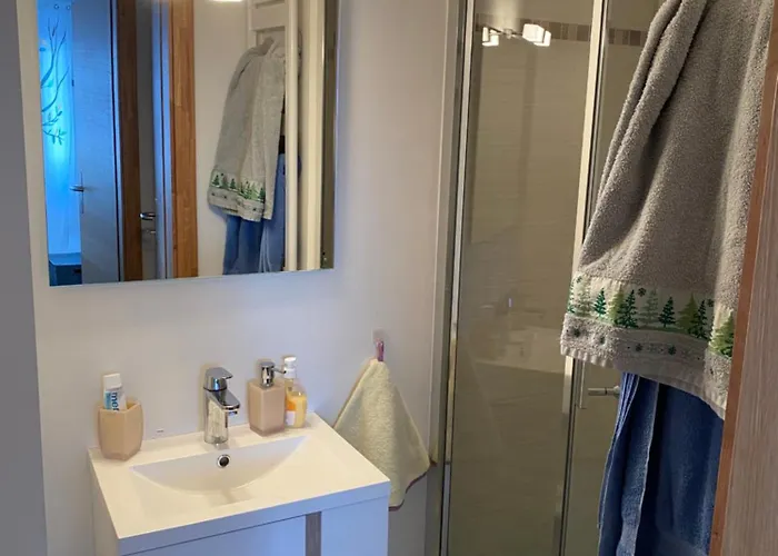 Derborence Centre 3 Pieces 75 M2 Piscine Balcons Διαμέρισμα